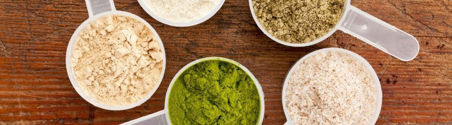Do I need Vegan Protein Powder in my diet?
