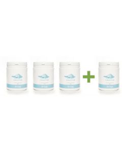 b sports nutrition creatine b sports nutrition creatine