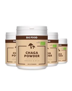 Big Food Bio Chaga Poeder RAW – 3+1 Gratis