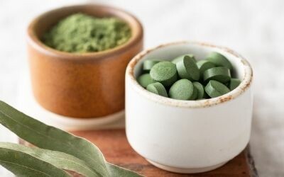 How our Dutch chlorella is grown
