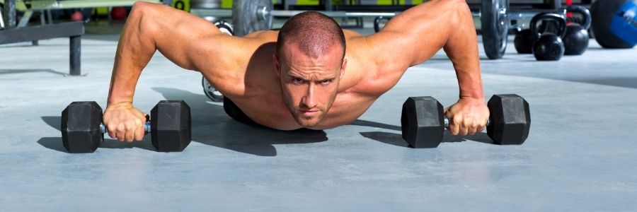 best supplements for muscle building