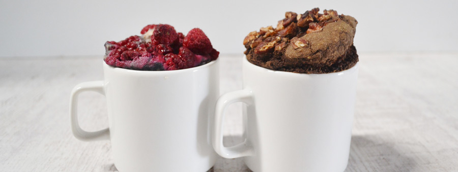 vegan chocolate mug cake