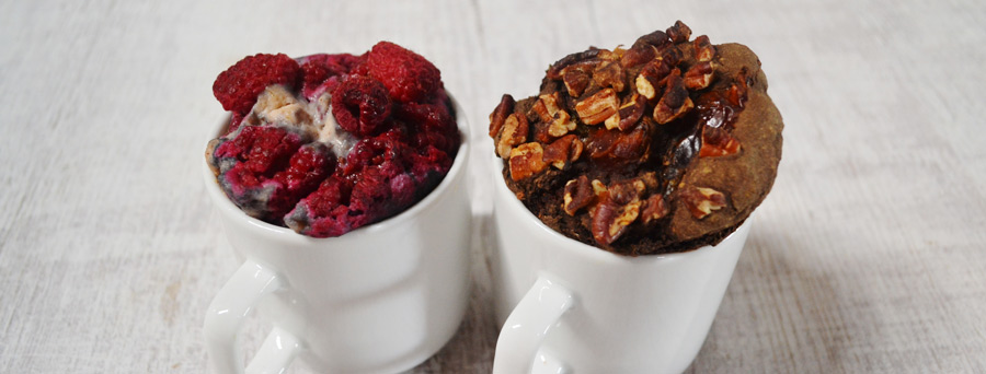vegan chocolate mug cake